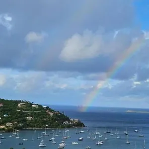  Apartment Bethany House - Immaculate Ocean Views Above The Westin - Large Deck United States Virgin Islands